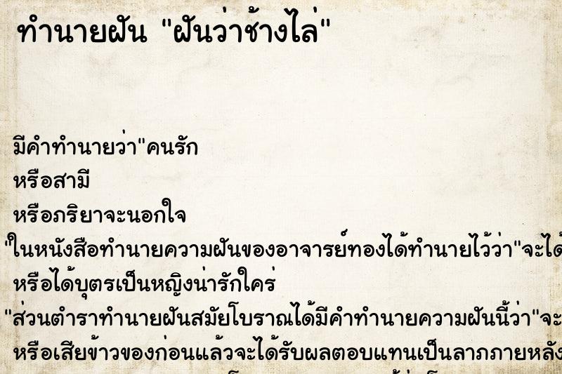 ทำนายฝันทำนายฝันฝันว่าช้างไล่