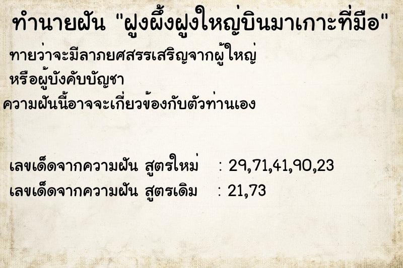 ทำนายฝันทำนายฝันฝูงผึ้งฝูงใหญ่บินมาเกาะที่มือ