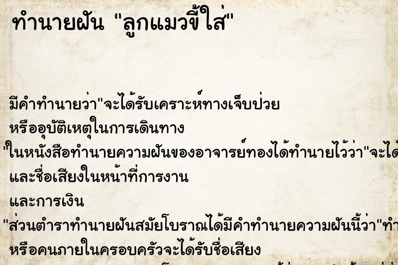 ทำนายฝันลูกแมวขี้ใส่ ทำนายฝันทำนายฝันลูกแมวขี้ใส่