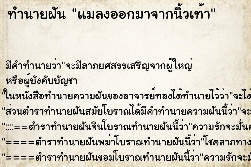 ทำนายฝัน แมลงออกมาจากนิ้วเท้า ทำนายฝัน แมลงออกมาจากนิ้วเท้า