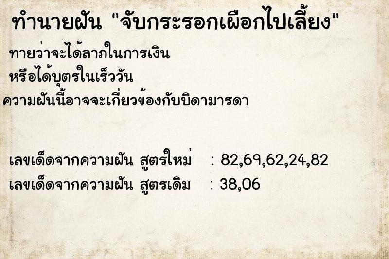 ทำนายฝันจับกระรอกเผือกไปเลี้ยง ทำนายฝันทำนายฝันจับกระรอกเผือกไปเลี้ยง