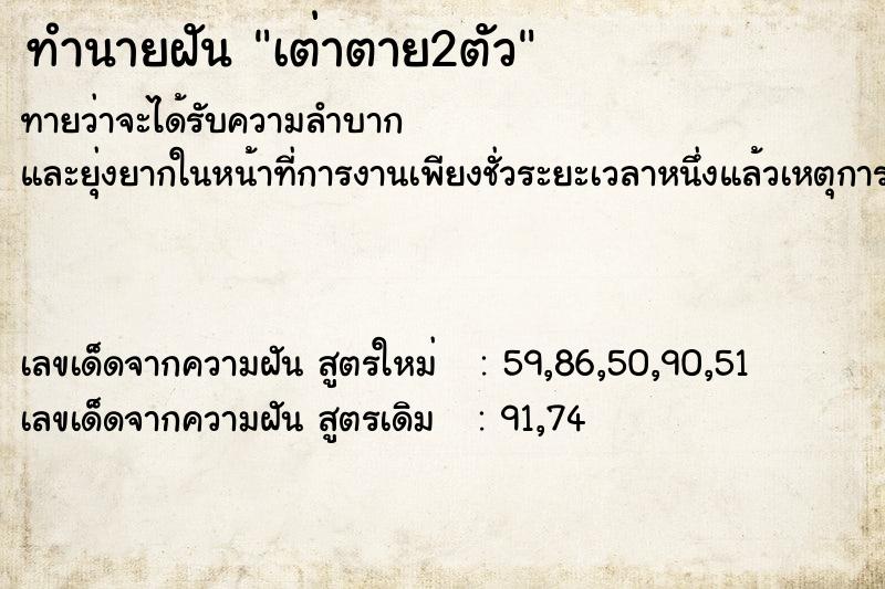 ทำนายฝันทำนายฝันเต่าตาย2ตัว