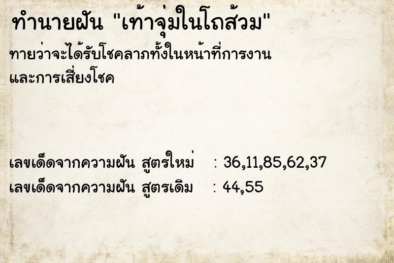 ทำนายฝันเท้าจุ่มในโถส้วม ทำนายฝันทำนายฝันเท้าจุ่มในโถส้วม