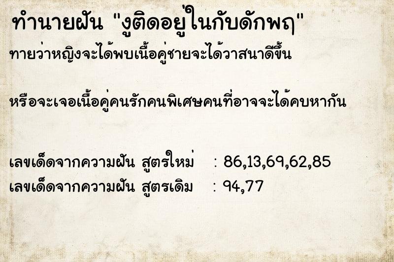 ทำนายฝันงูติดอยู่ในกับดักพฤ ทำนายฝันทำนายฝันงูติดอยู่ในกับดักพฤ
