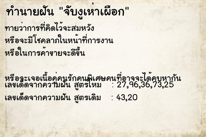 ทำนายฝันจับงูเห่าเผือก ทำนายฝันทำนายฝันจับงูเห่าเผือก