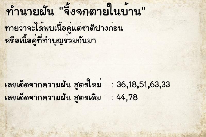 ทำนายฝันจิ้งจกตายในบ้าน ทำนายฝันทำนายฝันจิ้งจกตายในบ้าน