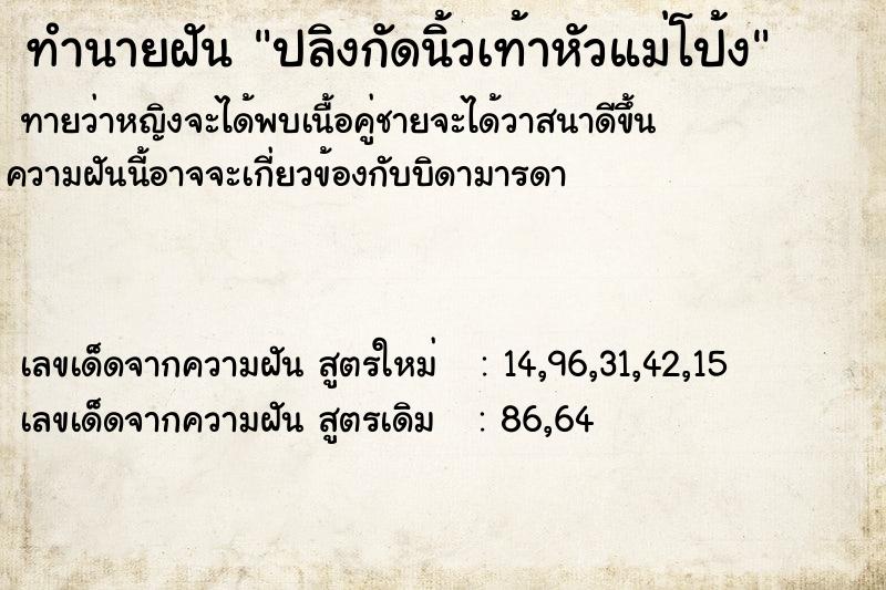 ทำนายฝันปลิงกัดนิ้วเท้าหัวแม่โป้ง ทำนายฝันทำนายฝันปลิงกัดนิ้วเท้าหัวแม่โป้ง