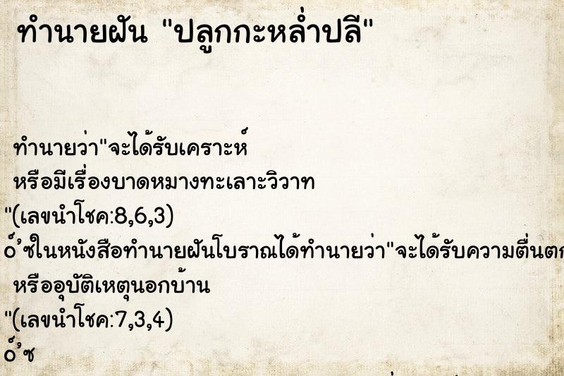 ทำนายฝันทำนายฝันปลูกกะหล่ำปลี