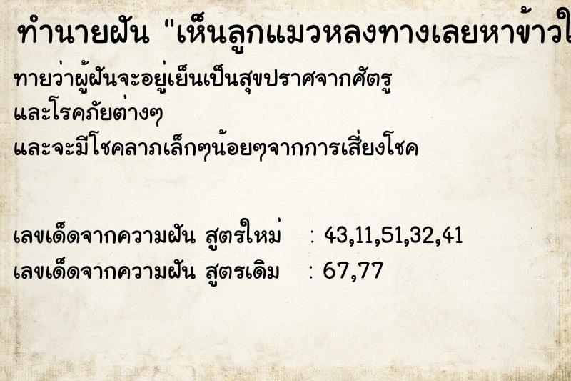 ทำนายฝันทำนายฝันเห็นลูกแมวหลงทางเลยหาข้าวให้กิน