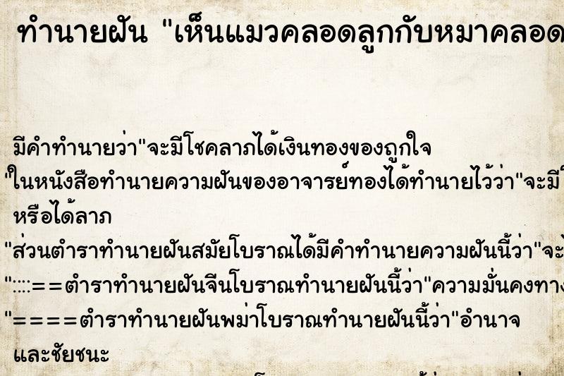 ทำนายฝัน เห็นแมวคลอดลูกกับหมาคลอดลูก ทำนายฝัน เห็นแมวคลอดลูกกับหมาคลอดลูก