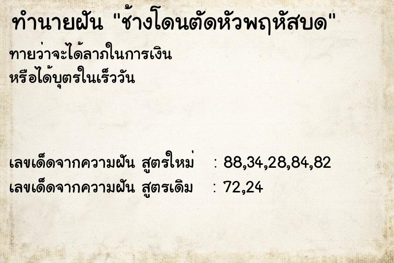ทำนายฝันทำนายฝันช้างโดนตัดหัวพฤหัสบด