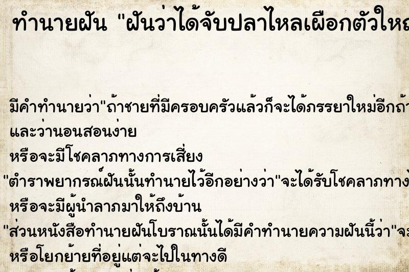 ทำนายฝัน ฝันว่าได้จับปลาไหลเผือกตัวใหญ่มาก ทำนายฝัน ฝันว่าได้จับปลาไหลเผือกตัวใหญ่มาก