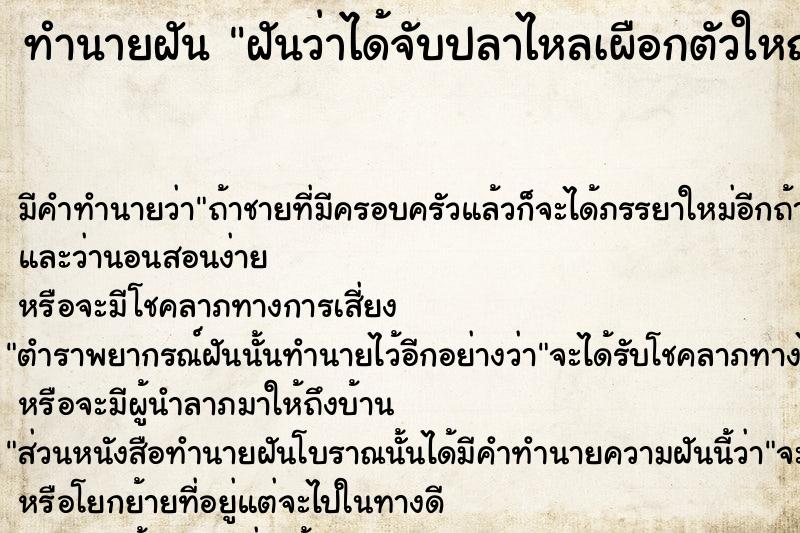 ทำนายฝัน ฝันว่าได้จับปลาไหลเผือกตัวใหญ่มาก ตำราโบราณ แม่นที่สุดในโลก