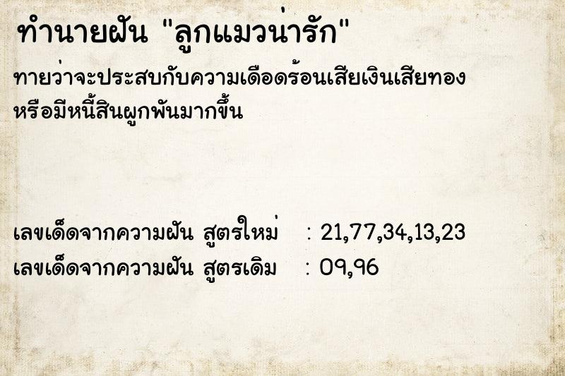 ทำนายฝัน ลูกแมวน่ารัก ตำราโบราณ แม่นที่สุดในโลก