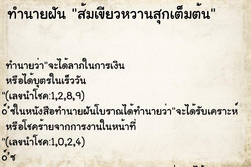 ทำนายฝันส้มเขียวหวานสุกเต็มต้น ทำนายฝันทำนายฝันส้มเขียวหวานสุกเต็มต้น