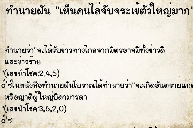 ทำนายฝันทำนายฝันเห็นคนไล่จับจระเข้ตัวใหญ่มาก