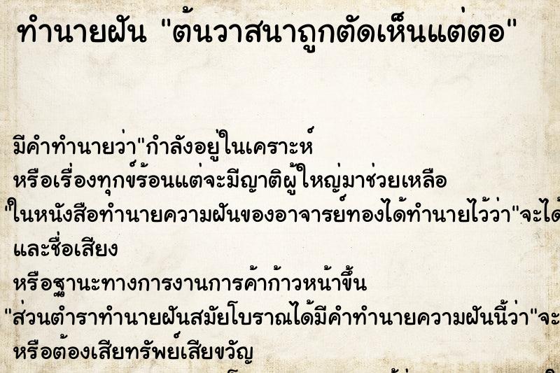 ทำนายฝัน ต้นวาสนาถูกตัดเห็นแต่ตอ ทำนายฝัน ต้นวาสนาถูกตัดเห็นแต่ตอ