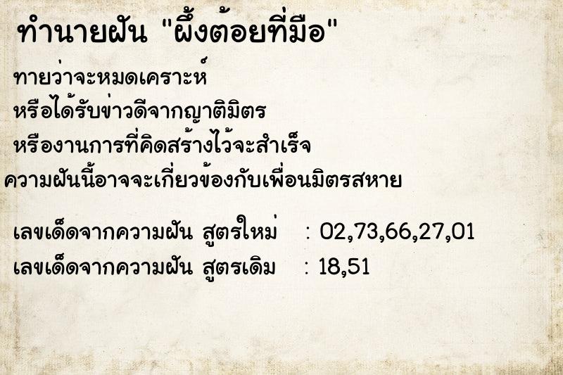 ทำนายฝันผึ้งต้อยที่มือ ทำนายฝันทำนายฝันผึ้งต้อยที่มือ