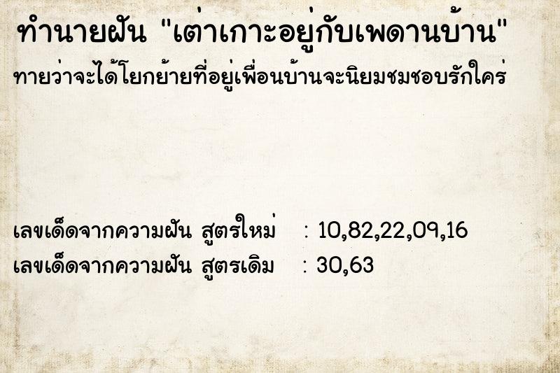 ทำนายฝันเต่าเกาะอยู่กับเพดานบ้าน ทำนายฝันทำนายฝันเต่าเกาะอยู่กับเพดานบ้าน