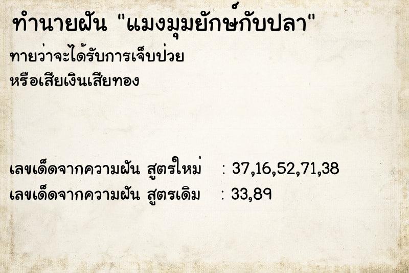 ทำนายฝันทำนายฝันแมงมุมยักษ์กับปลา