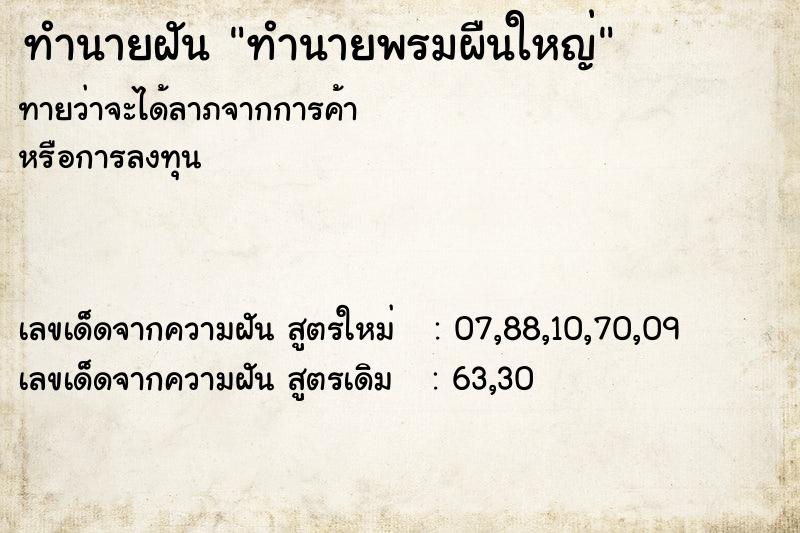 ทำนายฝันทำนายฝันทำนายพรมผืนใหญ่