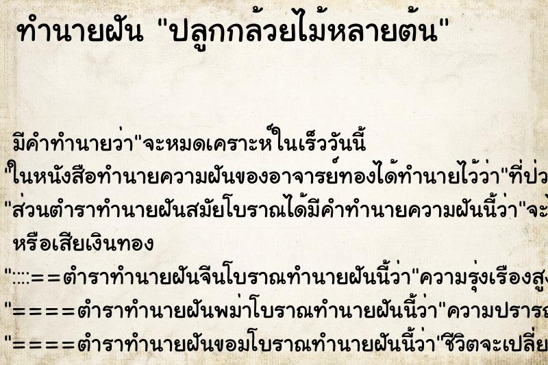 ทำนายฝันปลูกกล้วยไม้หลายต้น ทำนายฝันทำนายฝันปลูกกล้วยไม้หลายต้น