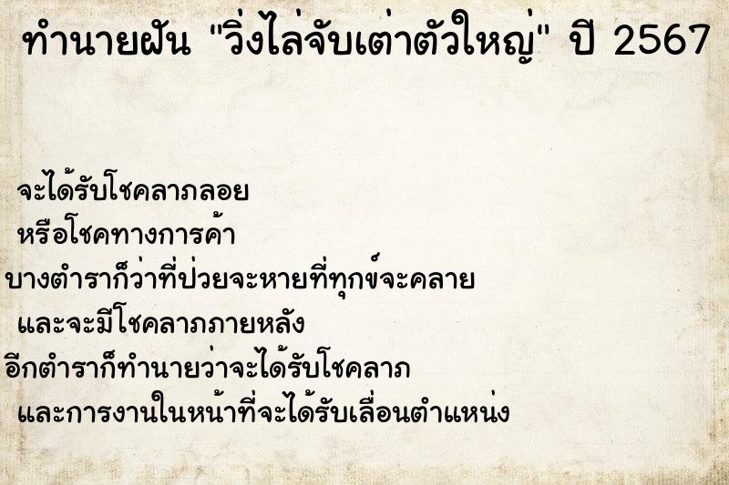 ทำนายฝันวิ่งไล่จับเต่าตัวใหญ่ ทำนายฝันทำนายฝันวิ่งไล่จับเต่าตัวใหญ่