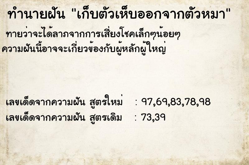 ทำนายฝัน เก็บตัวเห็บออกจากตัวหมา