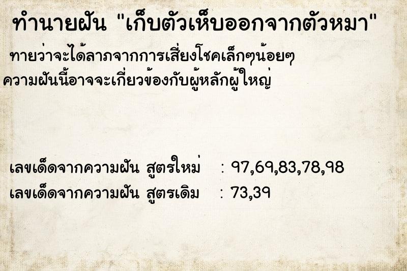 ทำนายฝัน เก็บตัวเห็บออกจากตัวหมา ตำราโบราณ แม่นที่สุดในโลก