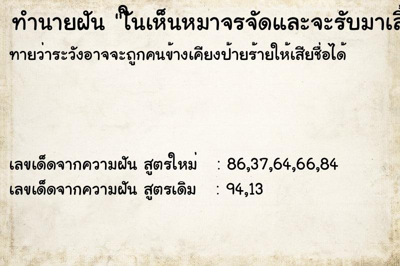 ทำนายฝันใันเห็นหมาจรจัดและจะรับมาเลี้ยง ทำนายฝันทำนายฝันใันเห็นหมาจรจัดและจะรับมาเลี้ยง