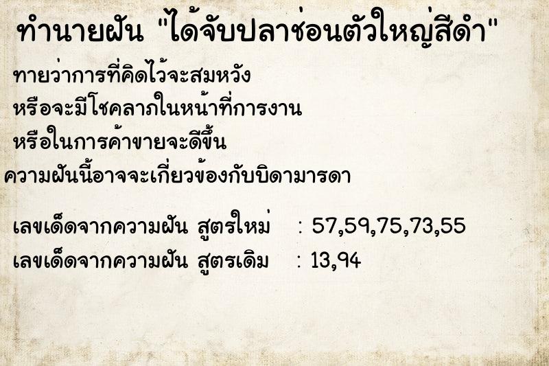 ทำนายฝันได้จับปลาช่อนตัวใหญ่สีดำ ทำนายฝันทำนายฝันได้จับปลาช่อนตัวใหญ่สีดำ