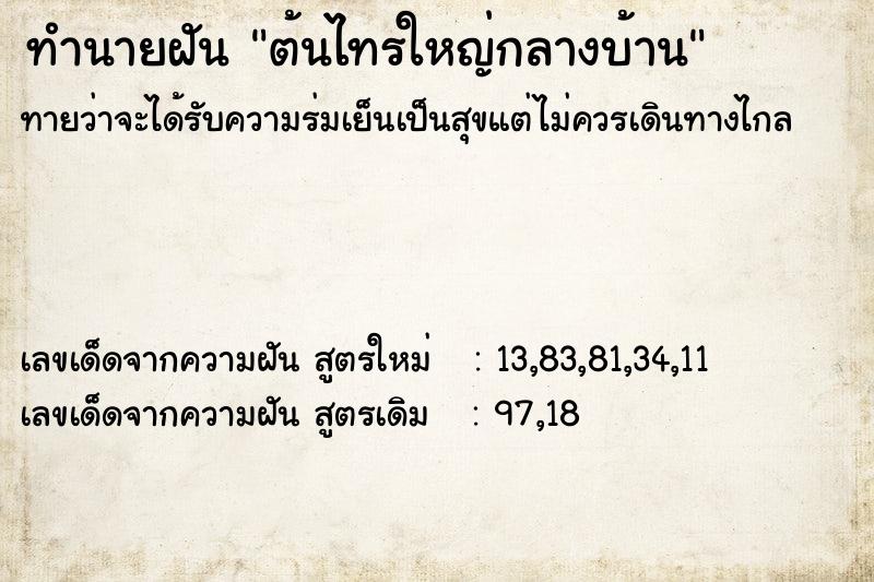 ทำนายฝัน ต้นไทรใหญ่กลางบ้าน ทำนายฝัน ต้นไทรใหญ่กลางบ้าน