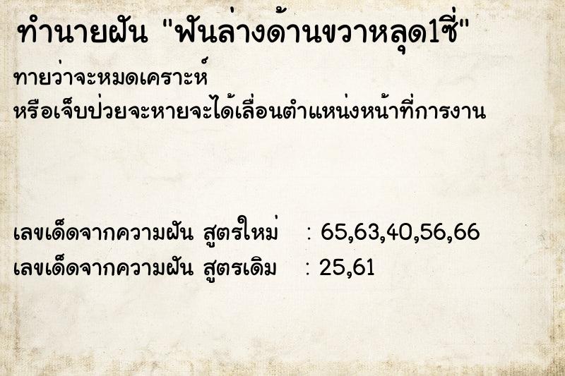 ทำนายฝันฟันล่างด้านขวาหลุด1ซี่ ทำนายฝันทำนายฝันฟันล่างด้านขวาหลุด1ซี่