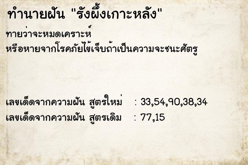 ทำนายฝันรังผึ้งเกาะหลัง ทำนายฝันทำนายฝันรังผึ้งเกาะหลัง