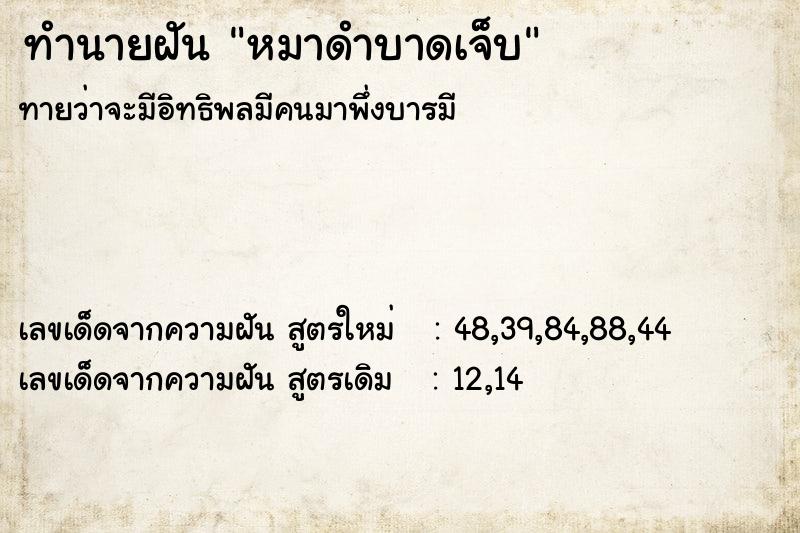 ทำนายฝันหมาดำบาดเจ็บ ทำนายฝันทำนายฝันหมาดำบาดเจ็บ