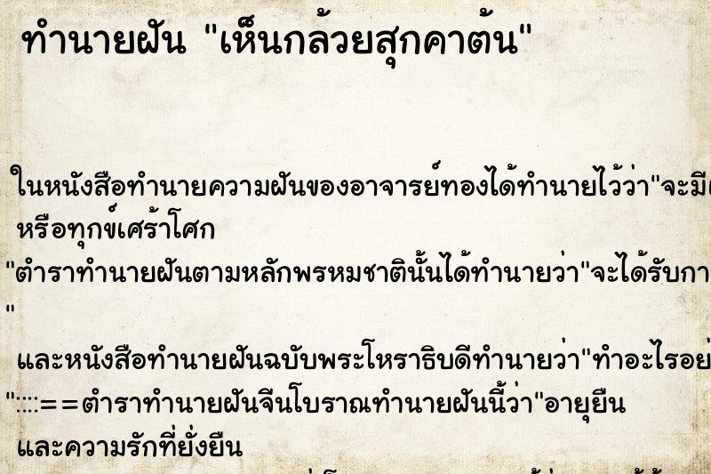ทำนายฝัน เห็นกล้วยสุกคาต้น
