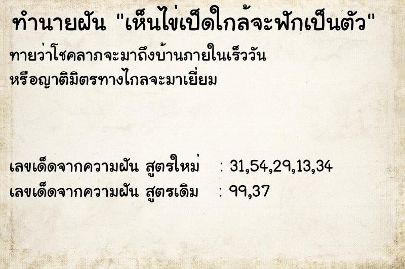 ทำนายฝัน เห็นไข่เป็ดใกล้จะฟักเป็นตัว ทำนายฝัน เห็นไข่เป็ดใกล้จะฟักเป็นตัว