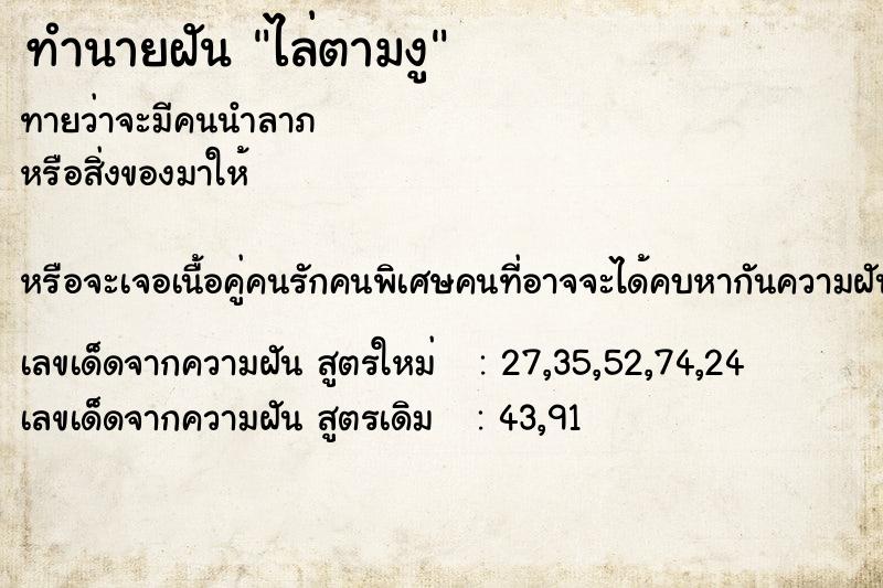 ทำนายฝันไล่ตามงู ทำนายฝันทำนายฝันไล่ตามงู