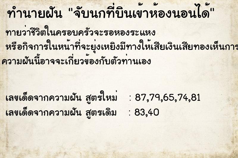 ทำนายฝันจับนกที่บินเข้าห้องนอนได้ ทำนายฝันทำนายฝันจับนกที่บินเข้าห้องนอนได้
