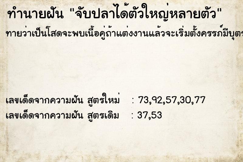 ทำนายฝันจับปลาได้ตัวใหญ่หลายตัว ทำนายฝันทำนายฝันจับปลาได้ตัวใหญ่หลายตัว