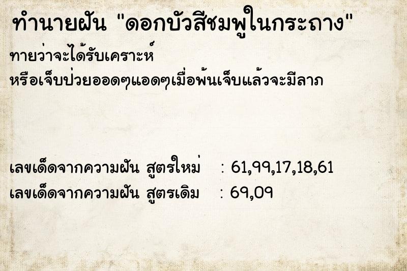 ทำนายฝันทำนายฝันดอกบัวสีชมพูในกระถาง