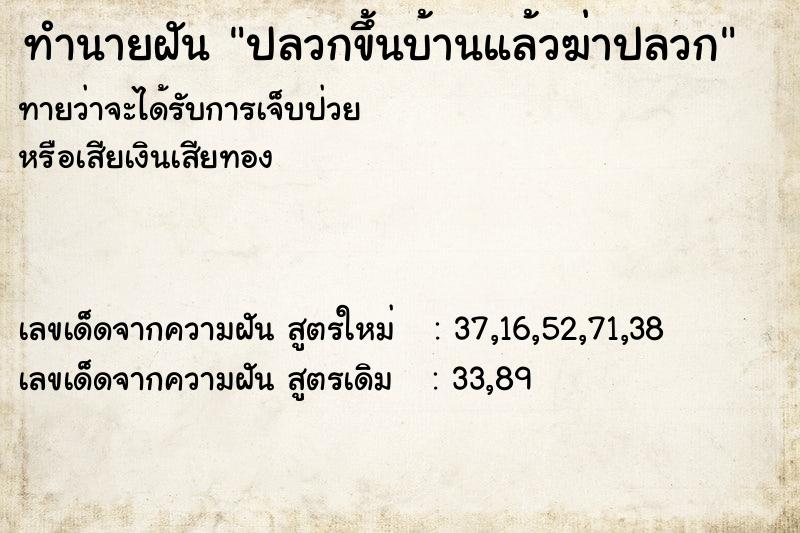 ทำนายฝันปลวกขึ้นบ้านแล้วฆ่าปลวก ทำนายฝันทำนายฝันปลวกขึ้นบ้านแล้วฆ่าปลวก