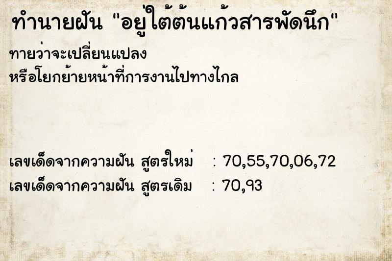 ทำนายฝันทำนายฝันอยู่ใต้ต้นแก้วสารพัดนึก