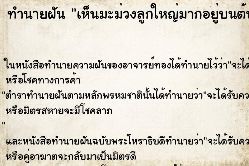 ทำนายฝัน เห็นมะม่วงลูกใหญ่มากอยู่บนต้น ทำนายฝัน เห็นมะม่วงลูกใหญ่มากอยู่บนต้น