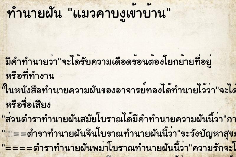 ทำนายฝัน แมวคาบงูเข้าบ้าน ทำนายฝัน แมวคาบงูเข้าบ้าน