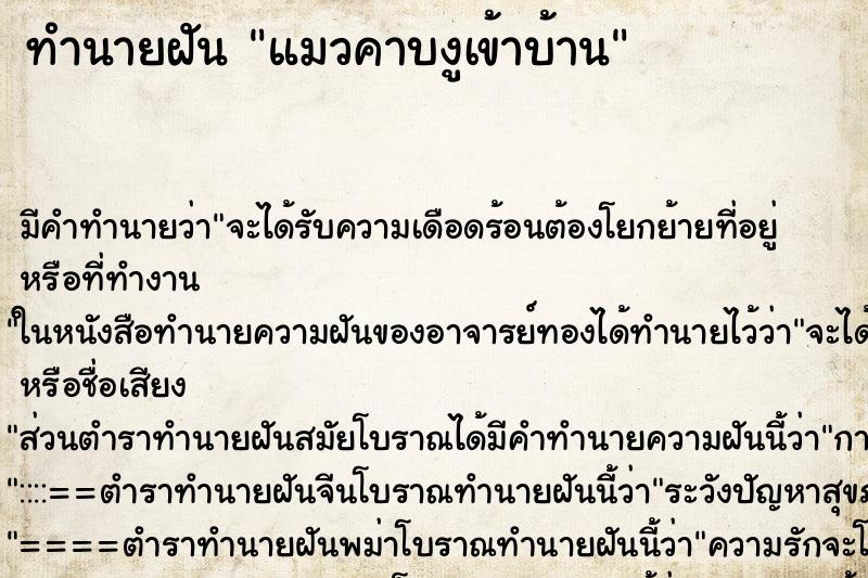 ทำนายฝัน แมวคาบงูเข้าบ้าน ตำราโบราณ แม่นที่สุดในโลก