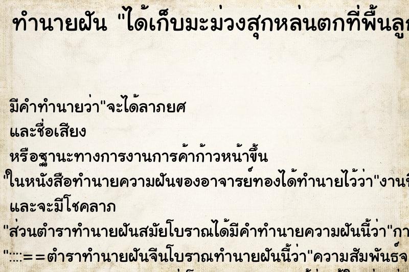 ทำนายฝัน ได้เก็บมะม่วงสุกหล่นตกที่พื้นลูกเล็กลูกใหญ่ ทำนายฝัน ได้เก็บมะม่วงสุกหล่นตกที่พื้นลูกเล็กลูกใหญ่