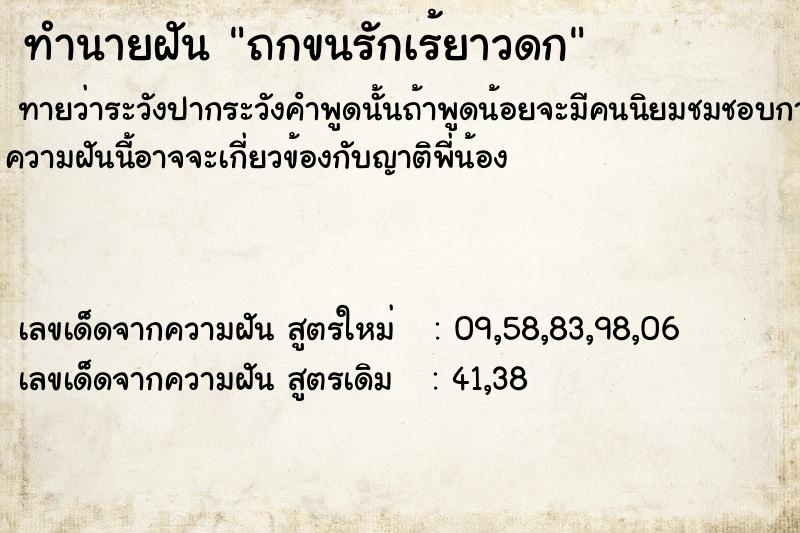 ทำนายฝันถกขนรักเร้ยาวดก ทำนายฝันทำนายฝันถกขนรักเร้ยาวดก