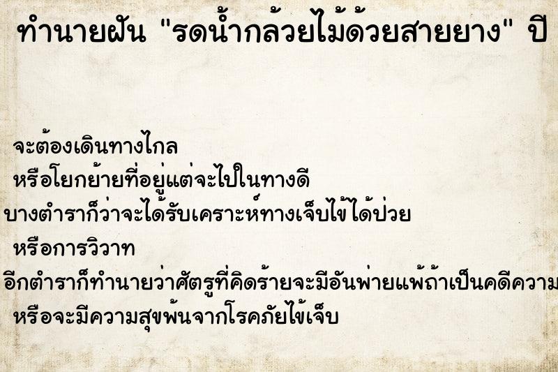 ทำนายฝันรดน้ำกล้วยไม้ด้วยสายยาง ทำนายฝันทำนายฝันรดน้ำกล้วยไม้ด้วยสายยาง