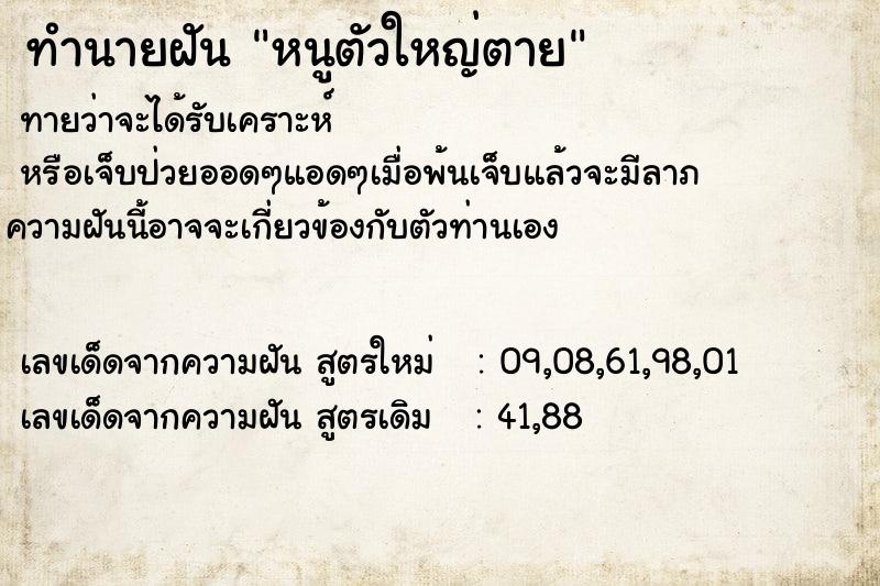 ทำนายฝันทำนายฝันหนูตัวใหญ่ตาย